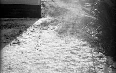 Untitled 3